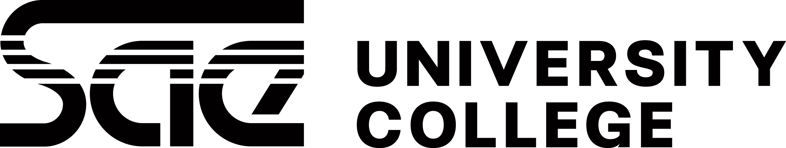 SAE University College